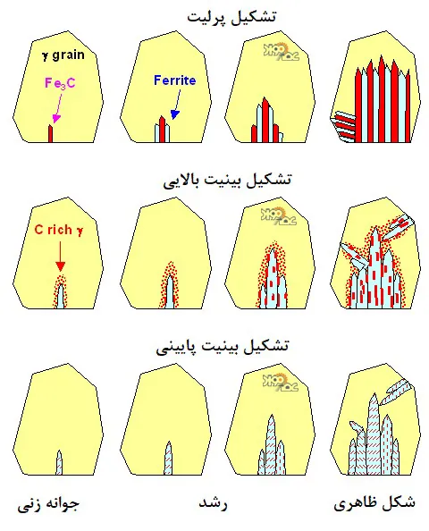 p8 شکل 8 – مورفولوژی جوانه زنی و رشد پرلیت و بینیت